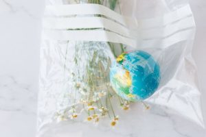 Jenis Polybag Tanaman untuk Menumbuhkan Tanaman Hias